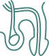 Treatment Ed Icon